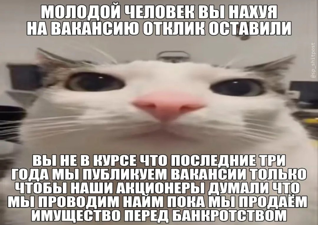 кoнтeнтшeйкep 🐍 tweet media