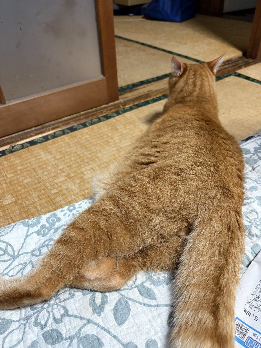 うに tweet media
