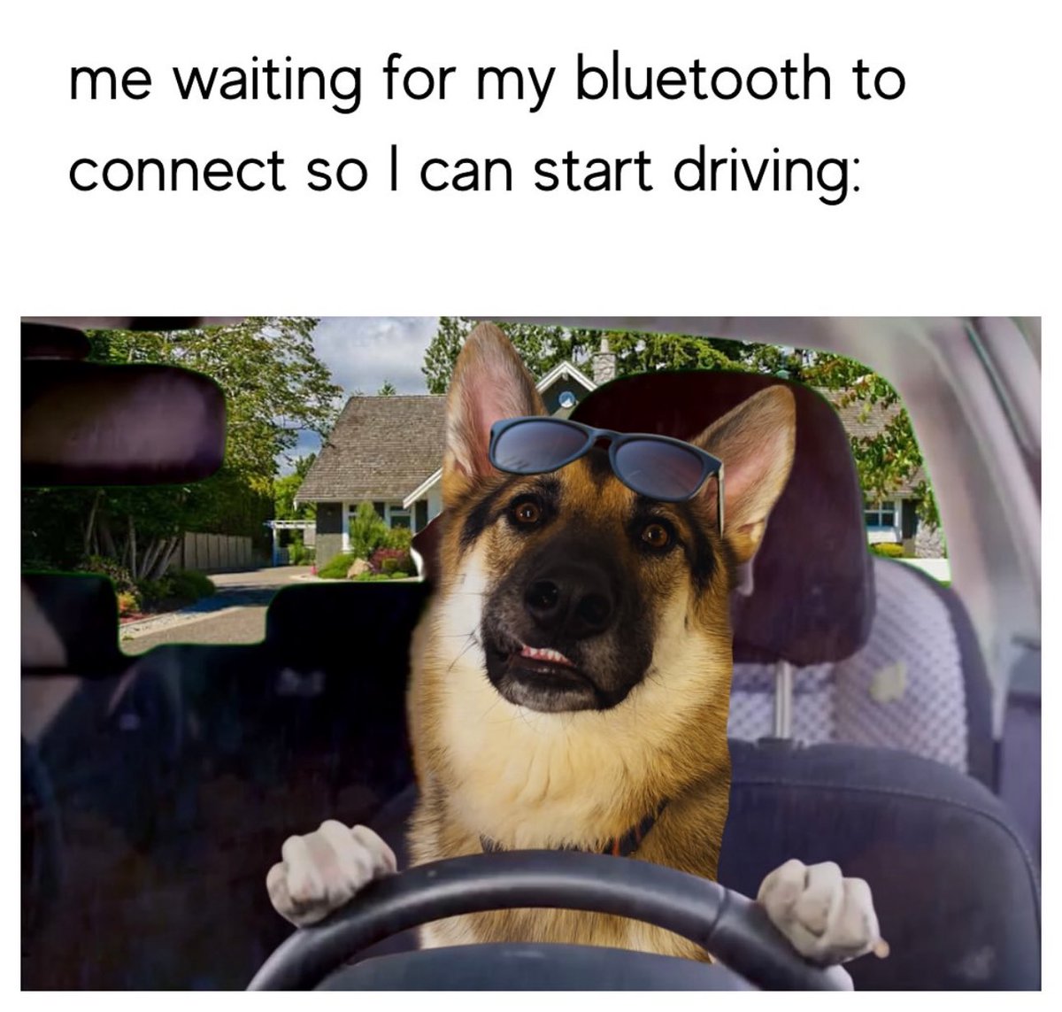 Puppies 🐶 tweet media