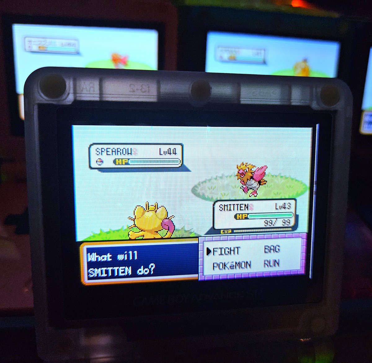 ShiningDanny1's tweet photo. #shinypokemon #meowth #shinymeowth #frlg #firered #leafgreen #fullodds #gen3 #retro #gbasp #sp #cmod #modded #pokemon #shinylivingdex #livingdex #phase #kanto #8192 #fulloddsshiny https://t.co/PX5qObpIdW