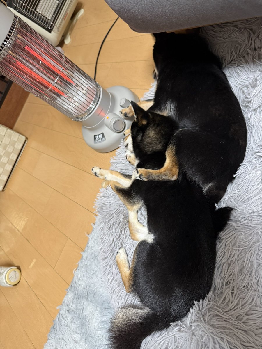 ゆちおニキ料理日記@vtuber tweet media