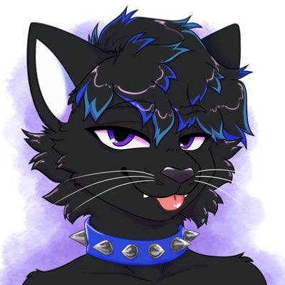 Kunta ⛓️🐈‍⬛➡️FURPREME COURT tweet media