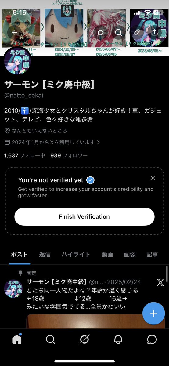 サーモン【ミク廃中級】 tweet media