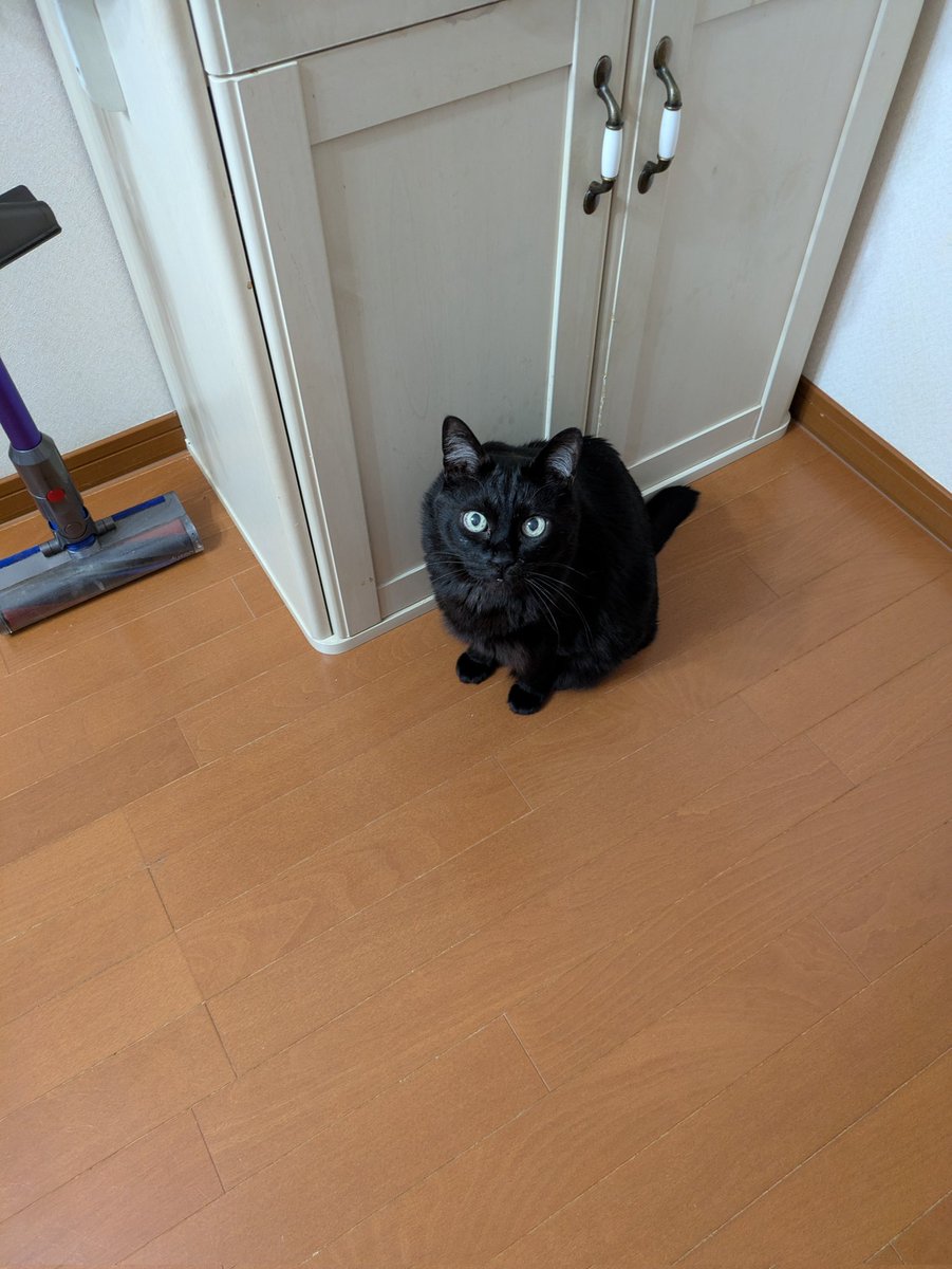 ちーちゃん tweet media