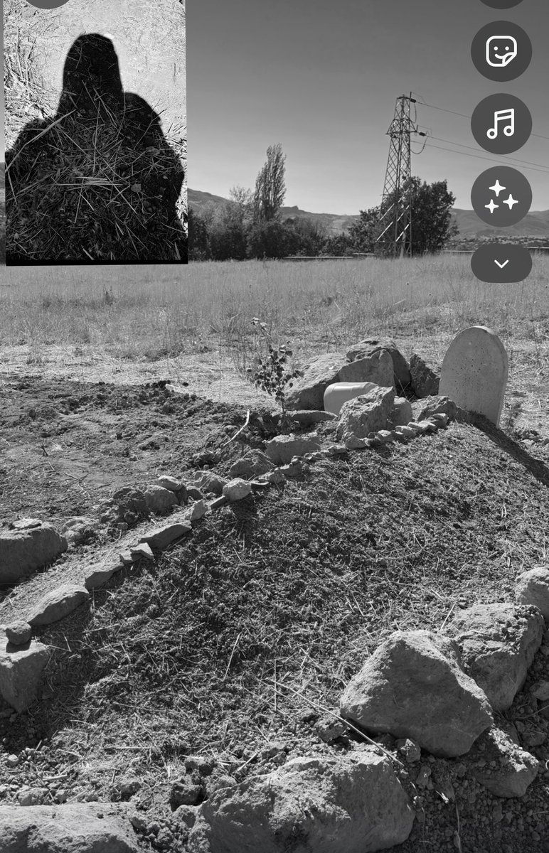 melisaccii's tweet photo. Ne yazsam yarım,ne yazsam tarifsiz kalacaak.sensiz geçirdiğimiz kaç bayram daha olacak acaba amcam…anılarına,hatırlarını hep yüreğimizde taşıyacağız.yattığın yer ışık dolsun.çok özledim….çok özledim..seni çok seviyorum yiğidim,aslanım,canım amcam.🕊️✨🤍 https://t.co/z6KSy12FZU