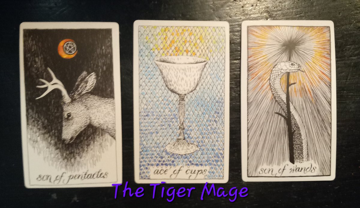 Tiger's Den: Magick & More tweet media