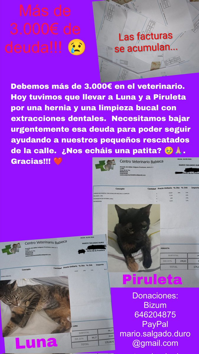 Mario Mola Mazo tweet media
