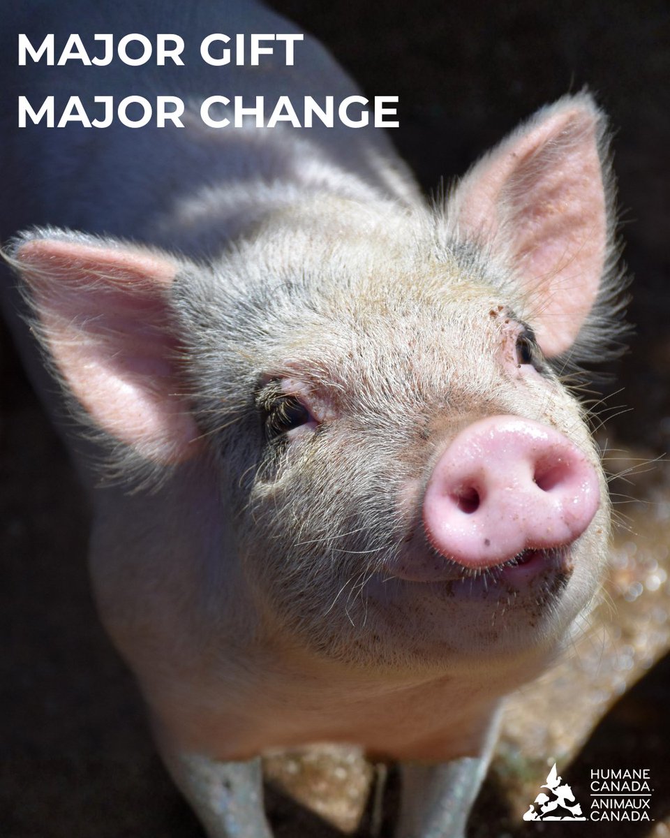 Humane Canada tweet media