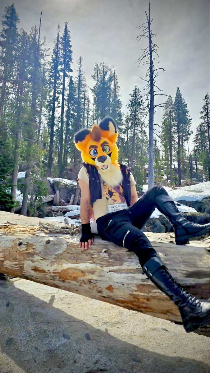 ๐นScruffy Ryker๐ฅ ๐BLFC tweet media
