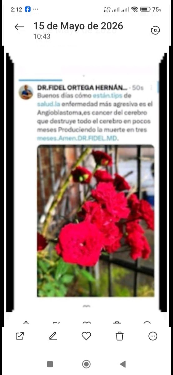 DR.FIDEL ORTEGA HERNÁNDEZ. tweet media