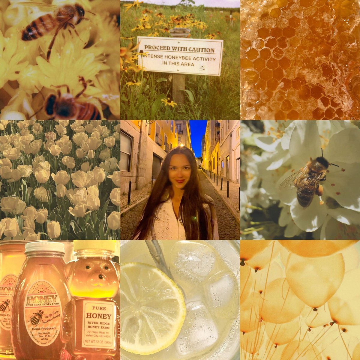 ☆*+. jade🍯🐝 tweet media