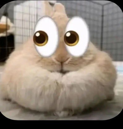 baf the bunny tweet media