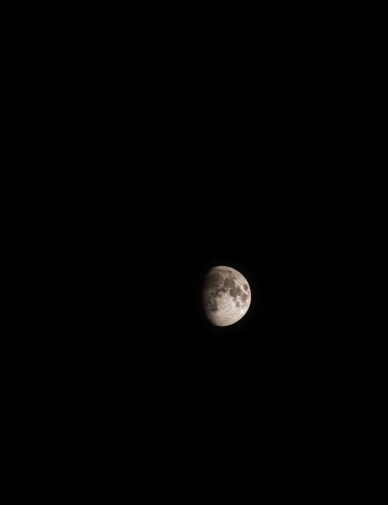 Vivilisia's tweet photo. Luna today. https://t.co/lgvZ1djWQB