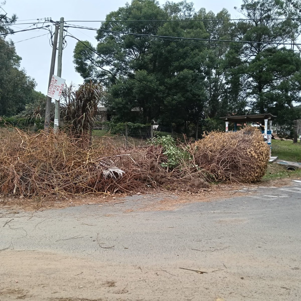 AleRepettoUy's tweet photo. Costa Azul llena de ramas, basura y contenedores desbordados.
Los vecinos pagan, pero la Intendencia de Canelones hace bastante que no pasa….

Menos propaganda. Más gestión. https://t.co/oumJbtGNYD