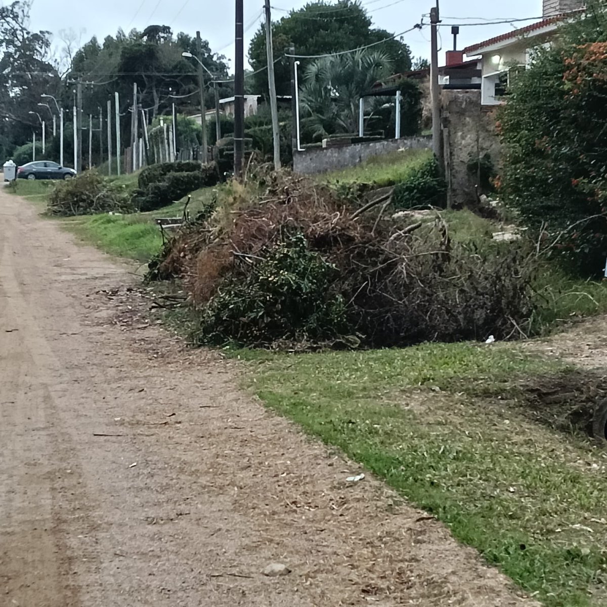AleRepettoUy's tweet photo. Costa Azul llena de ramas, basura y contenedores desbordados.
Los vecinos pagan, pero la Intendencia de Canelones hace bastante que no pasa….

Menos propaganda. Más gestión. https://t.co/oumJbtGNYD