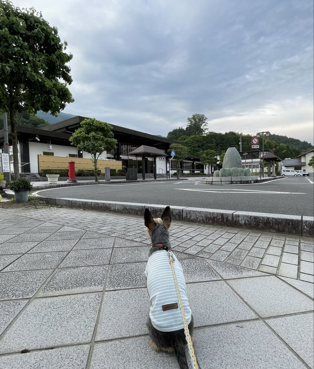 甲州みやげ 永谷屋 tweet media