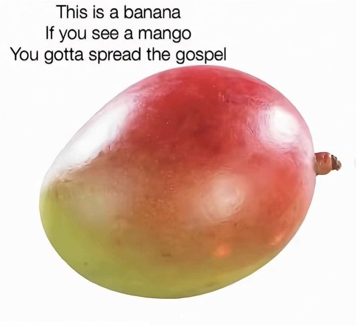 GodlyAction tweet media