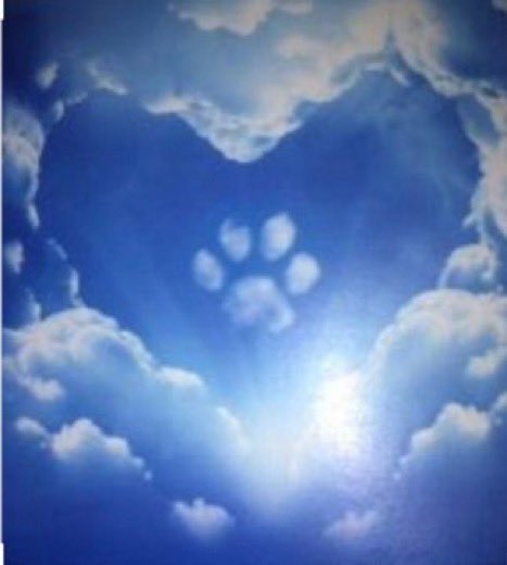 _Laura_Lynch_'s tweet photo. @Eman_8282 https://t.co/6qCy7a6RcD