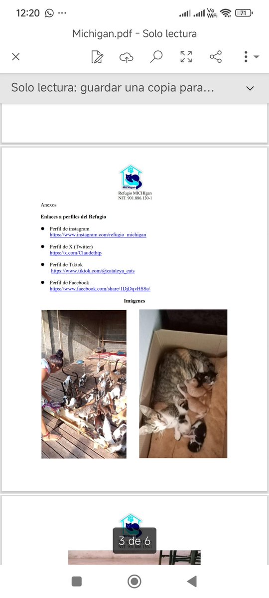 Claudethtp's tweet photo. Hoy es el cuarto día sin éxito buscando un espacio donde trasladarnos, no he encontrado ninguna opción. La situación me tiene desesperada y buscando una solución decidí escribirle una carta al Presidente @petrogustavo .
Estamos en un país totalmente polarizado y aclaro que esto no se trata de política, se trata de más de 200 vidas que necesitan un lugar seguro y en mi pueblo nadie se ha manifestado con intención de ayudarme. ESTOY SOLAAAA
Por eso, sin importar su afinidad política, les pido de corazón que me ayuden compartiendo y etiquetando al presidente para que pueda ver la carta. 🙏🐾 
X, haz tu magia! @afvalencia @DiegoFi27933574 @juegasiempre @ElizbethCristi7 @akalapatriciam @isabela33286055 @BolatTrish36247 @sarasweety2025 @SaraIBolanos @jorghegomez @MONYRODRIGUEZOF @CeciliaLopezM @malizca526 @Osli2025 @CarlosAWay @AngelVilladiego @Rocamansa15 @DagoGomez28 @DeadDollPrinces @rokyton2018 @Bucephalo @naydushita @Maaaaaaaaisa @MilooFrio @Juana_Dulce @Jesse7022 @efraguza @HFCardonaG @VLADDO @MariaFPalacios_