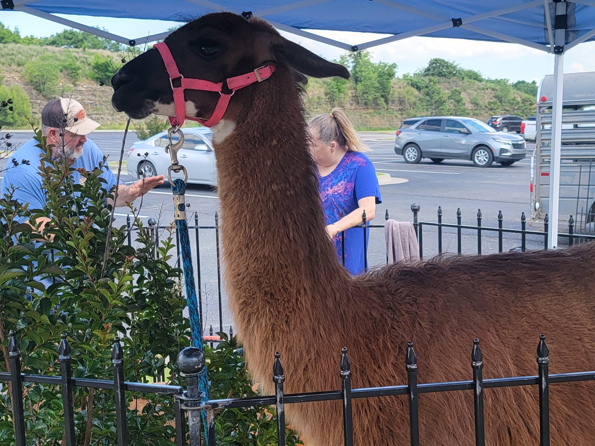 OLBPH's tweet photo. We're at this year's MOKA Conference for the Blind today through Thursday at the Broken Arrow Stoney Creek Inn.  Pre-conference activity included an interactive and accessible mobile petting zoo for conference attendees. For more information, please visit: https://t.co/oiga0ryv0X https://t.co/t6DAI6fxT9