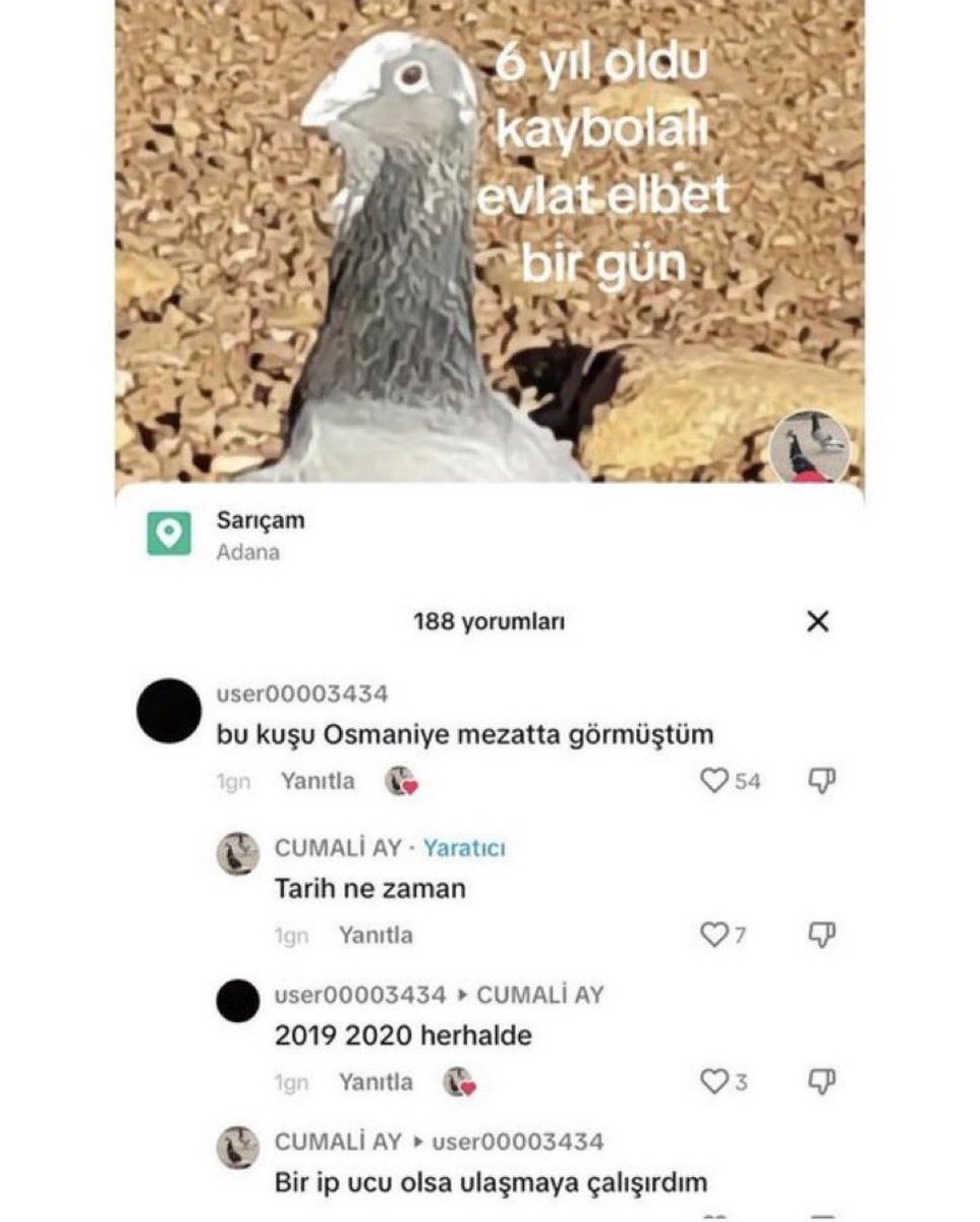 tert mümer tweet media