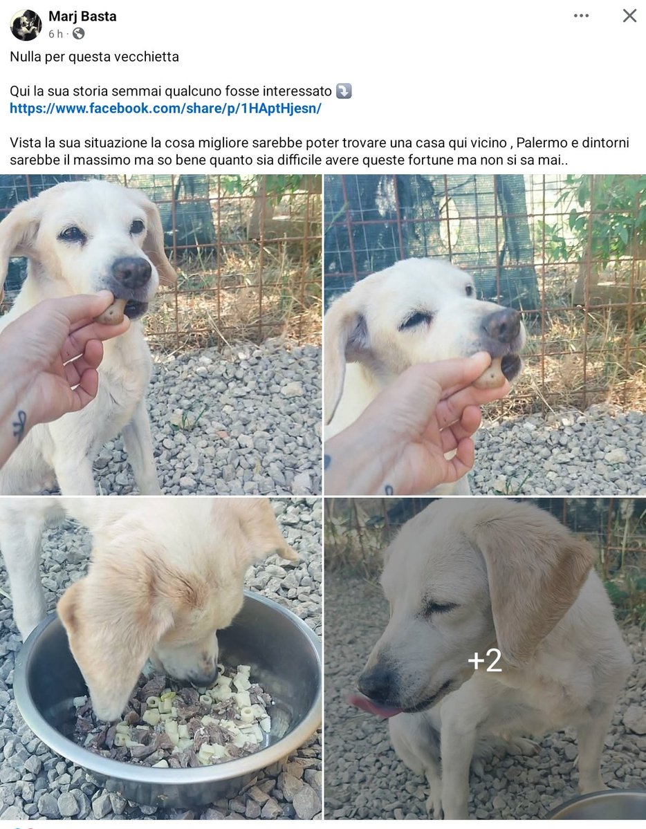 un atto d'amore odv tweet media