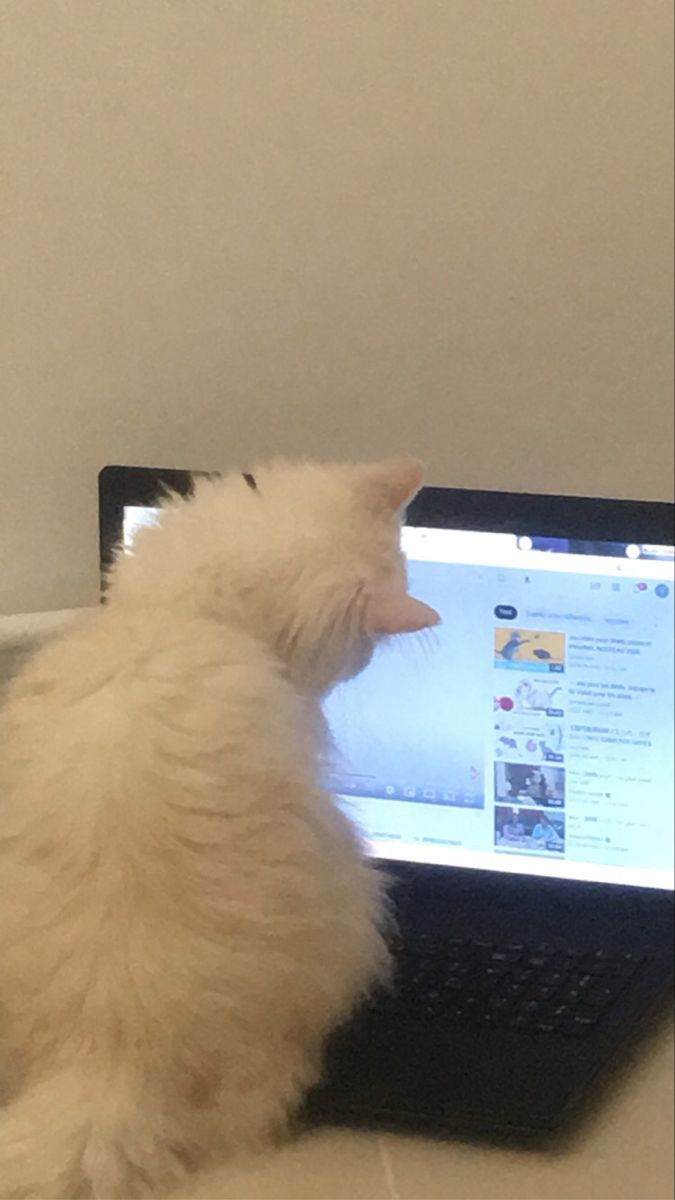 ๐ฟ๐พ๐
๐๐๐พ. tweet media