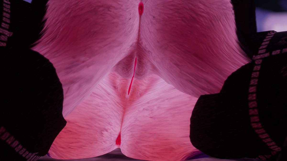 🔞ElybsVR 🔜 FurEast 4 tweet media