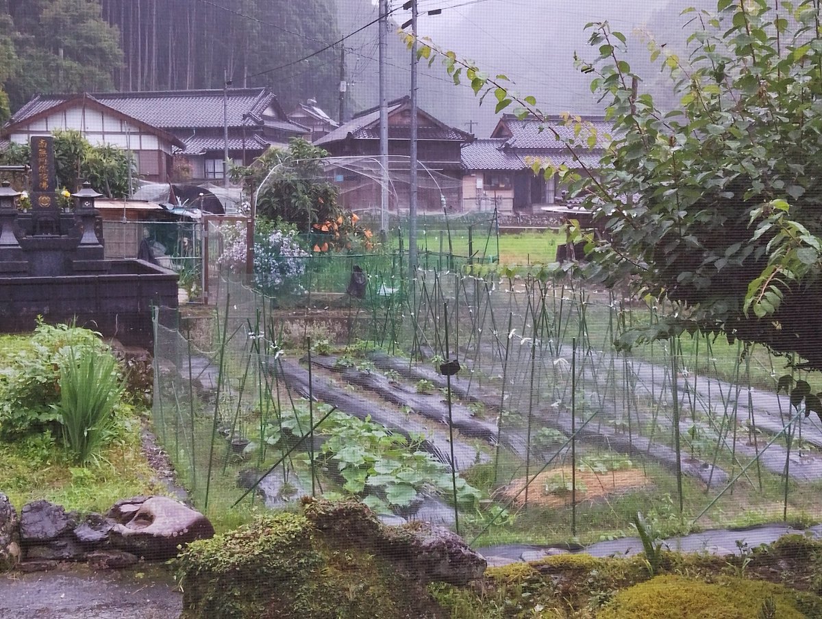 飯テロTAKA@坂本町地域おこし協力隊 tweet media