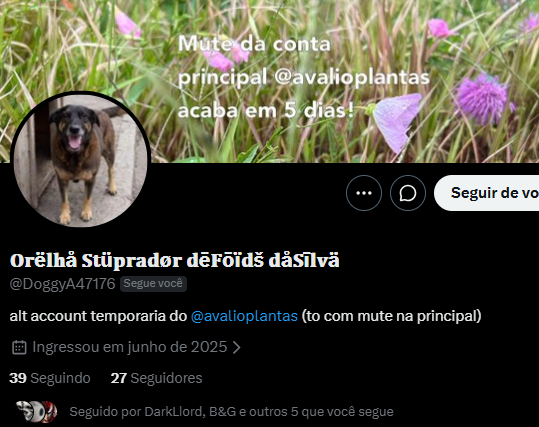 LobonilFox🐺 tweet media