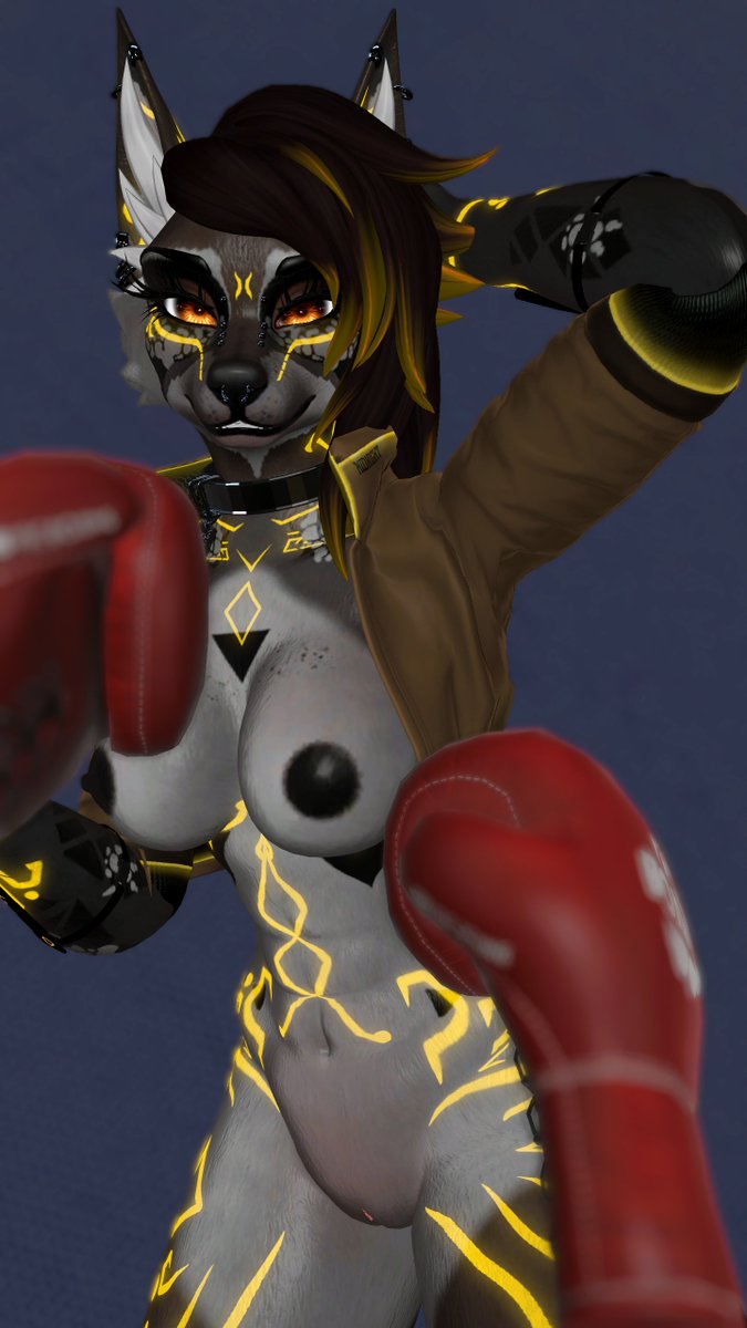 Midnight Raccoon tweet media
