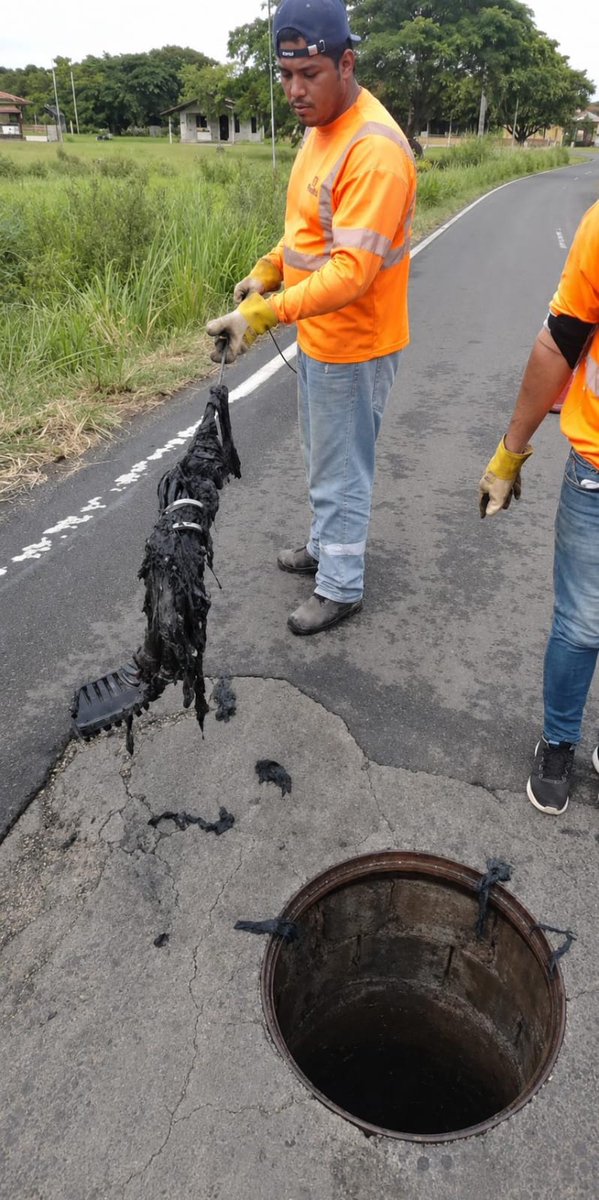 IDAANinforma's tweet photo. ¡Estamos trabajando en Herrera!

Nuestros especialistas realizaron trabajos de desobstrucción de líneas en Av. Pérez final, donde se encontró gran cantidad de sólidos que impedían el correcto funcionamiento del sistema. 👨‍🔧

Hacemos un llamado a nuestros usuarios a realizar la correcta disposición de los desechos, a fin de evitar derrames  y afectaciones en la red sanitaria 🏘️🔧