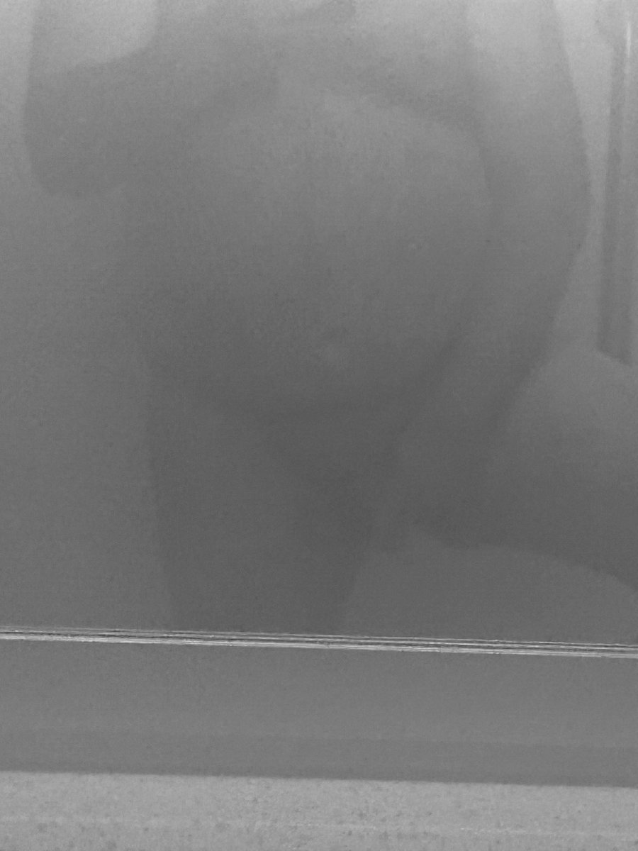 ThickNShaved's tweet photo. Steamy start in NOLA! https://t.co/tlsUgh2oi7