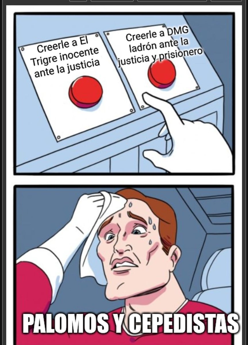 Garfield ₿TC tweet media