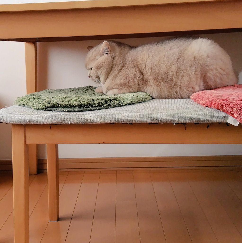 そこ、狭くない？🤭