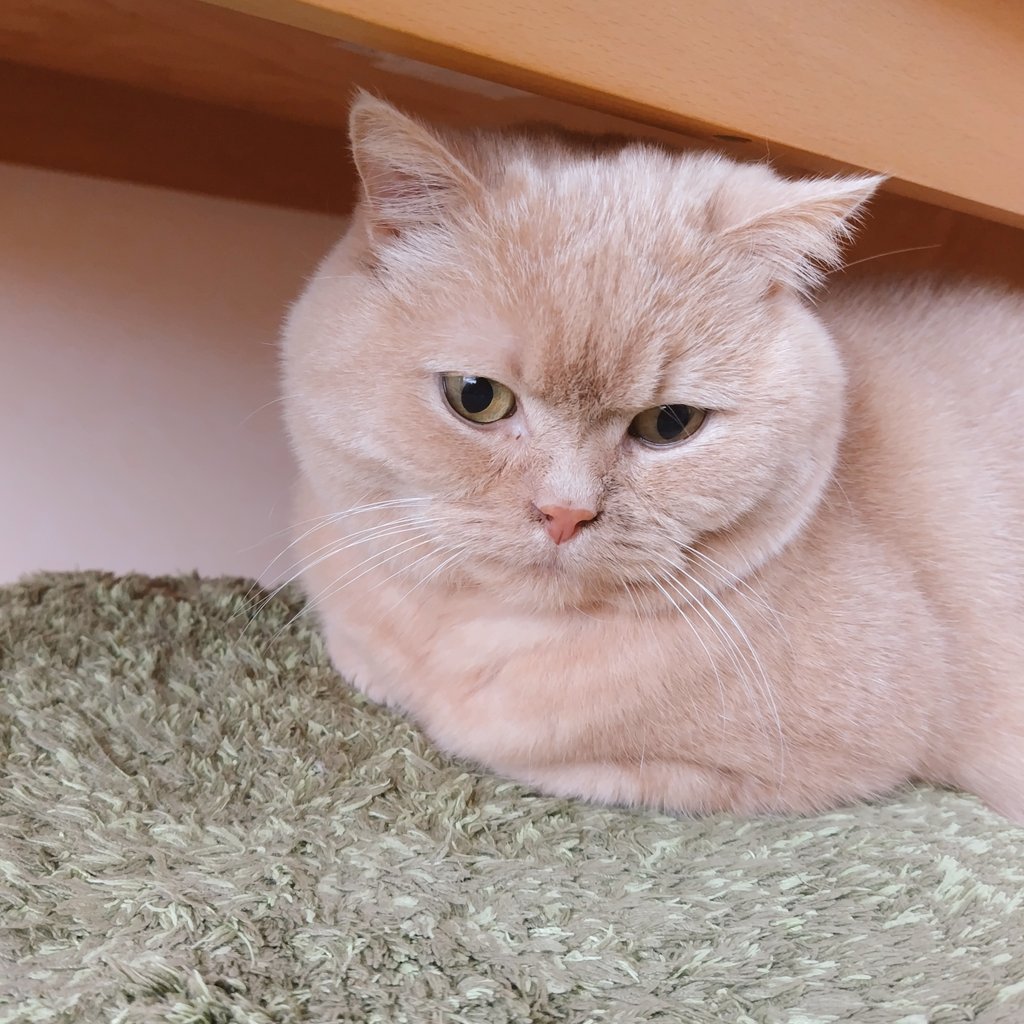 そこ、狭くない？🤭