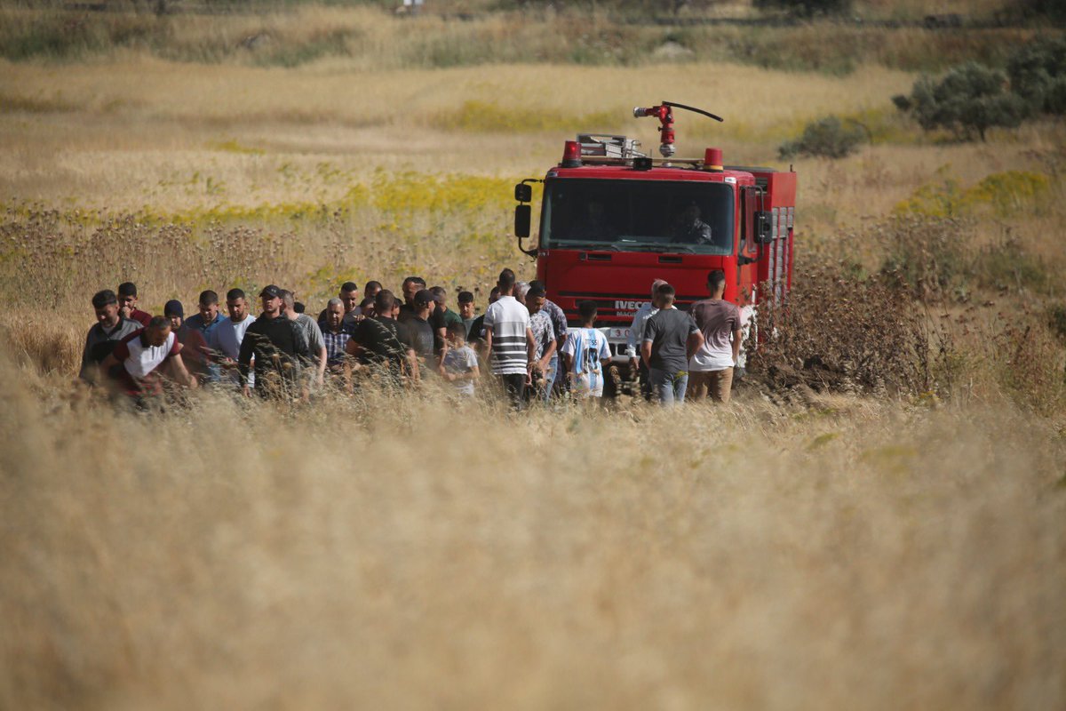 AbujomaaGaza's tweet photo. Palestinians trying to prevent zionist jewish settlers from burning their crops in the occupied West Bank city of Nablus https://t.co/NCNxgNC90S
