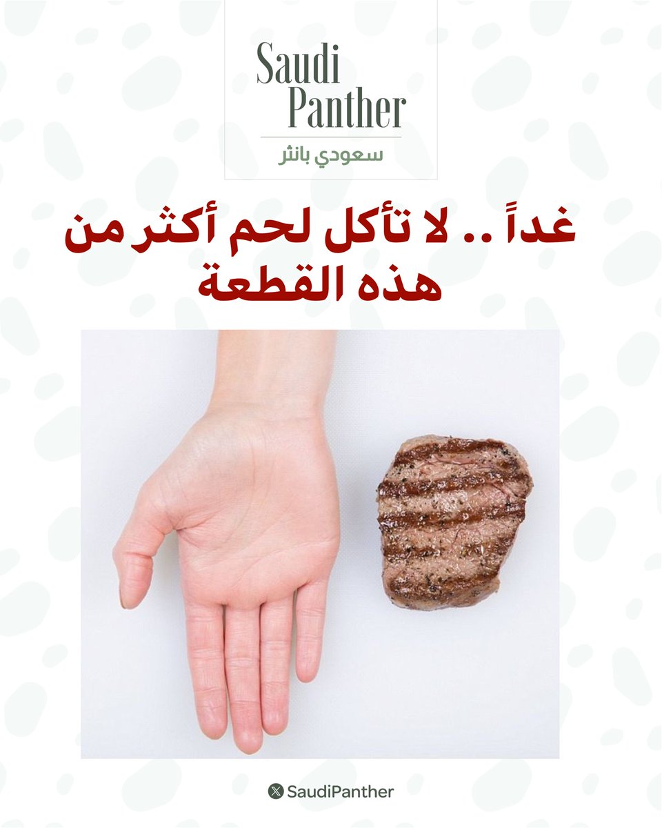 saudi panther | سعودي بانثر tweet media