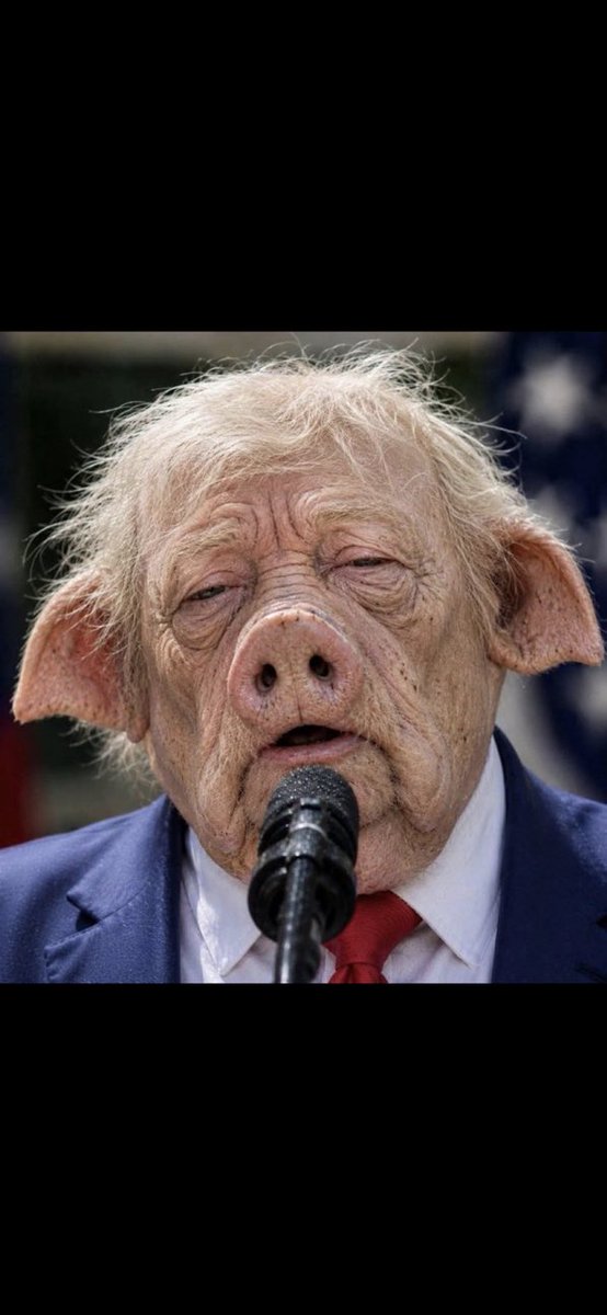 Bob78308342's tweet photo. 😂😂😂😂😂😂😂😂😂😂😂😂👇👇👇👇👇👇👇👇👇👇👇👇 https://t.co/fChpdxNyMB