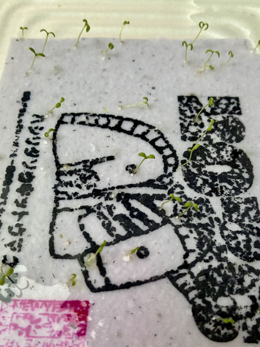 赤松 健次 | 飛企画(株) tweet media