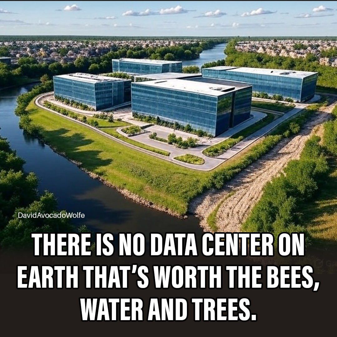 David Wolfe tweet media