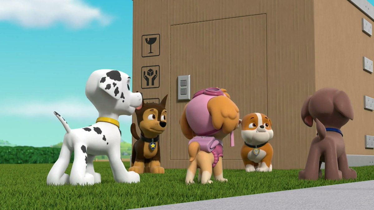 ZumaFanatic's tweet photo. Daily Zuma 🧡 (27.5.2026)

#pawpatrol #DailyZumaPics https://t.co/psbkjgZwn8