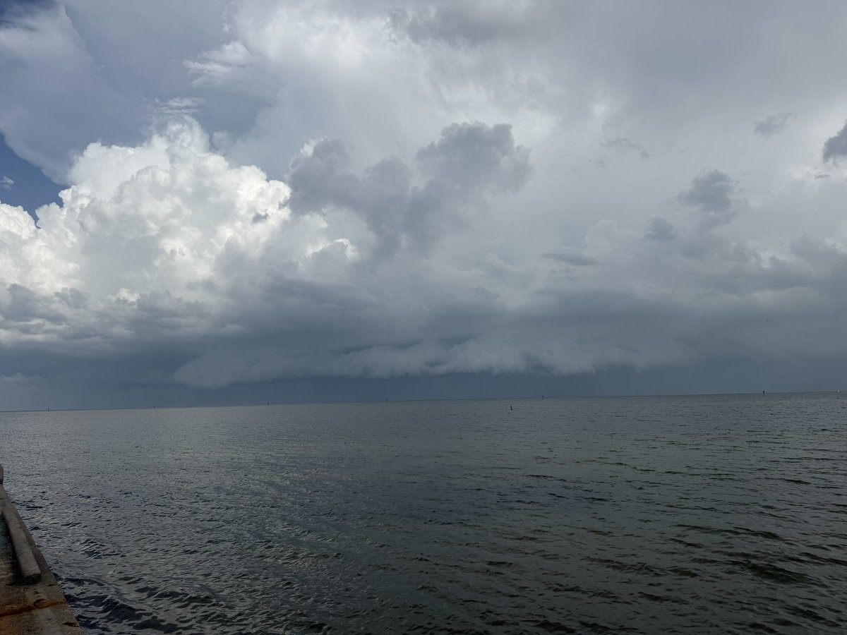TampaStorm's tweet photo. Shelf Cloud/rotation 5/26/26
@JimCantore @bn9weather @tropicalupdate @ReedTimmerUSA @CraigSetzer @PaulFox13 @DenisPhillipsWx @WeatherNation @MattDevittWx @BobbyWTSP @WeatherProf @WeatherWithLaur 
@julianamwx @jonathanbelles @NWSTampaBay @AndyHazelton @NbergWX 
@MatthewCappucci https://t.co/D7nMrGhvNI