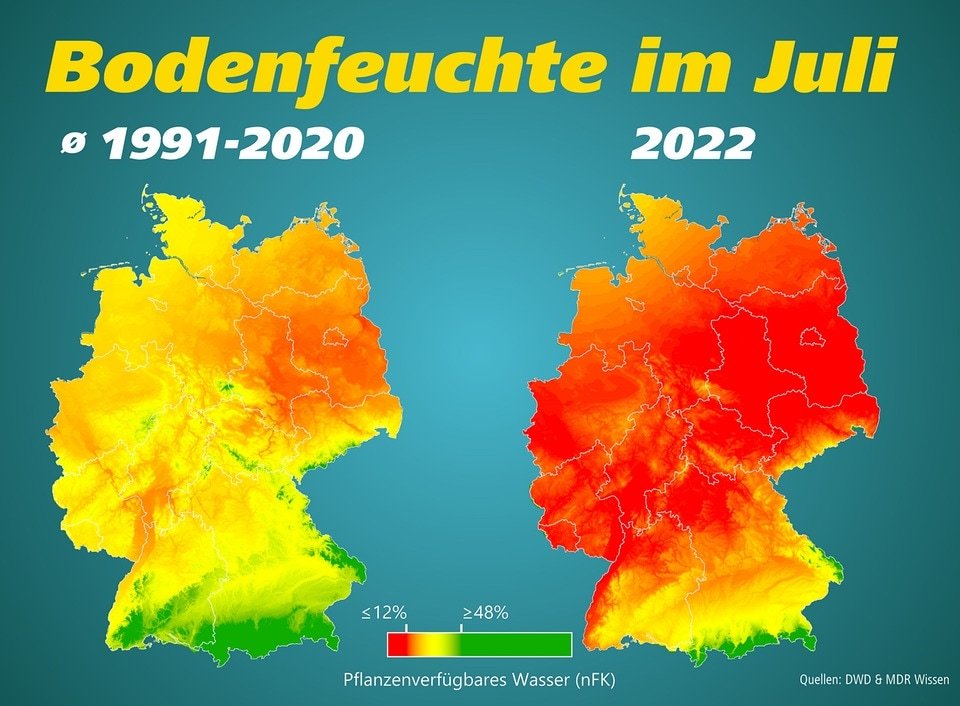 BerndFB tweet media