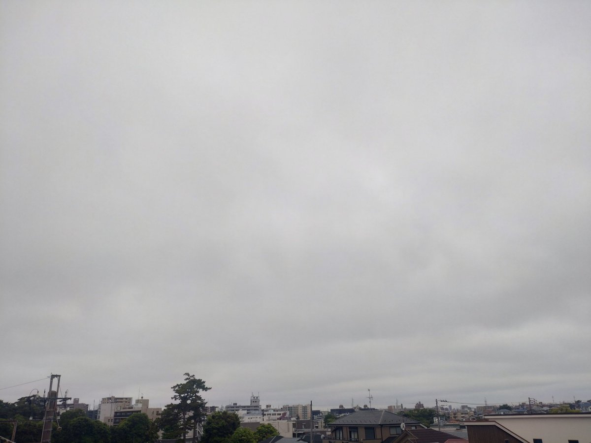 ショーイチ tweet media