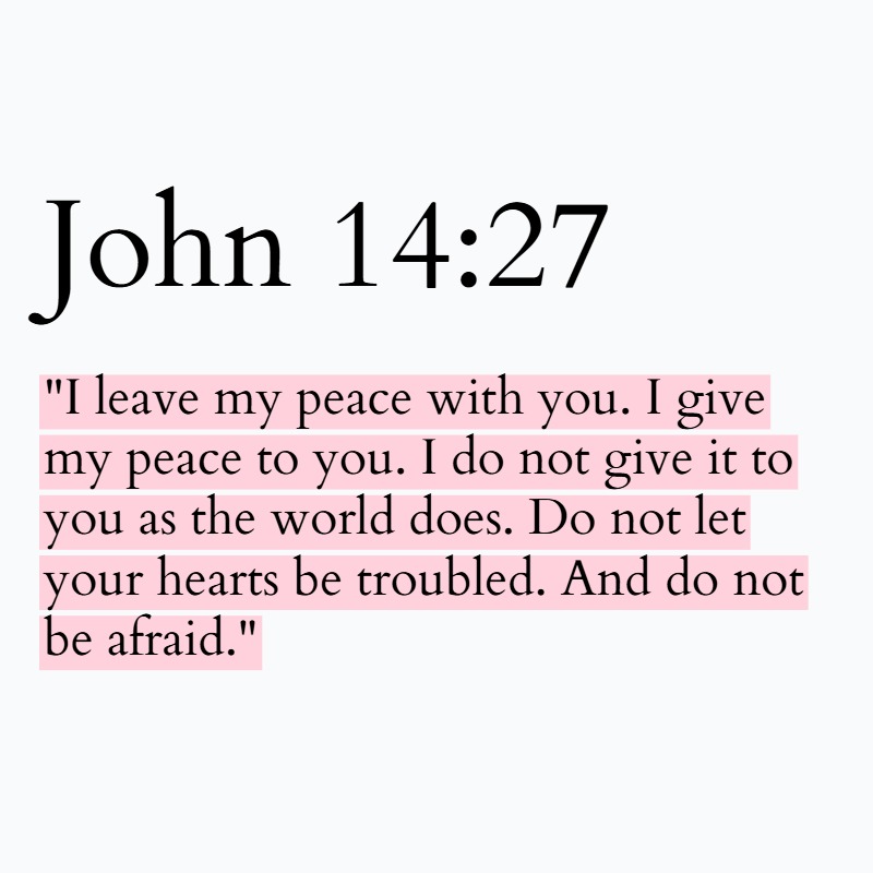 Holy Bible tweet media
