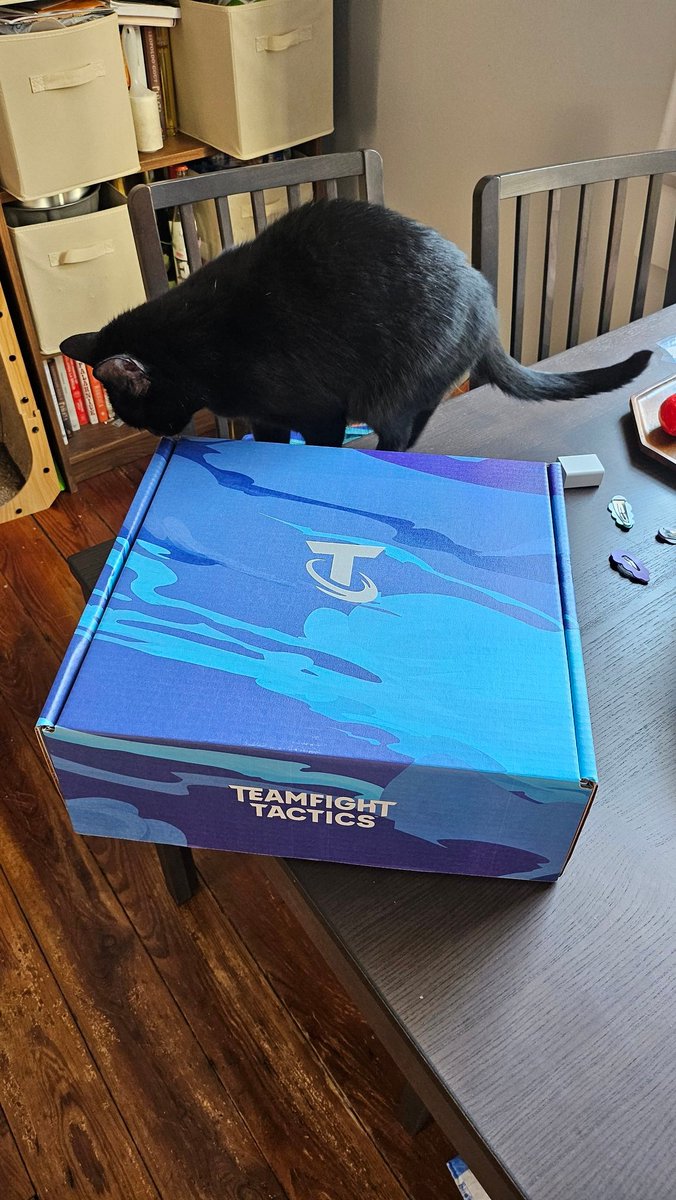 Subzeroark's tweet photo. Luna inspecting an interesting package I got from @TFT. Opening it tomorrow on stream! https://t.co/Dz4Jl2I7KV
