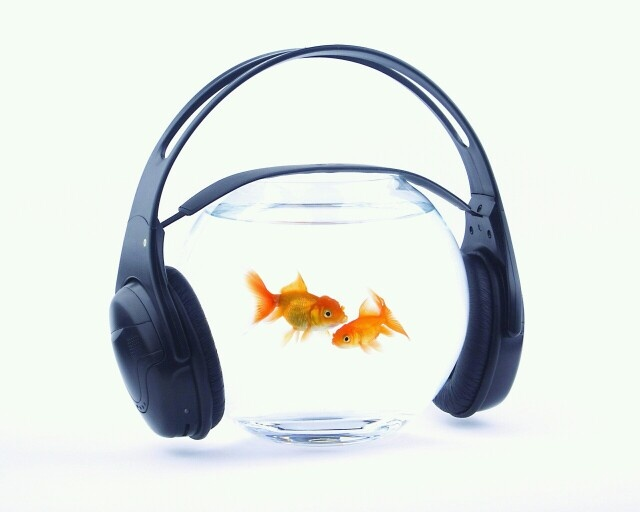 Fefe✩ tweet media