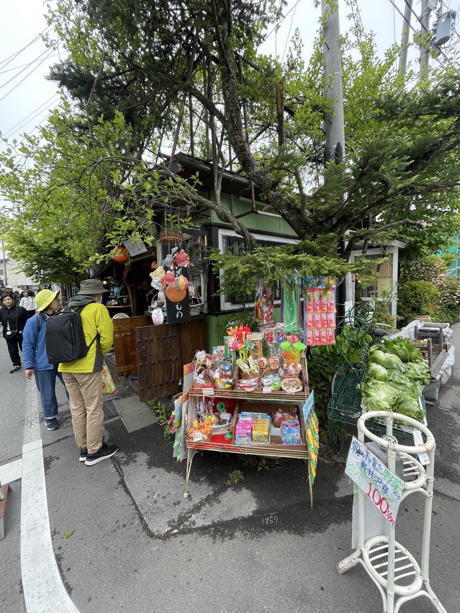Aussie In Japan (David Webb) tweet media