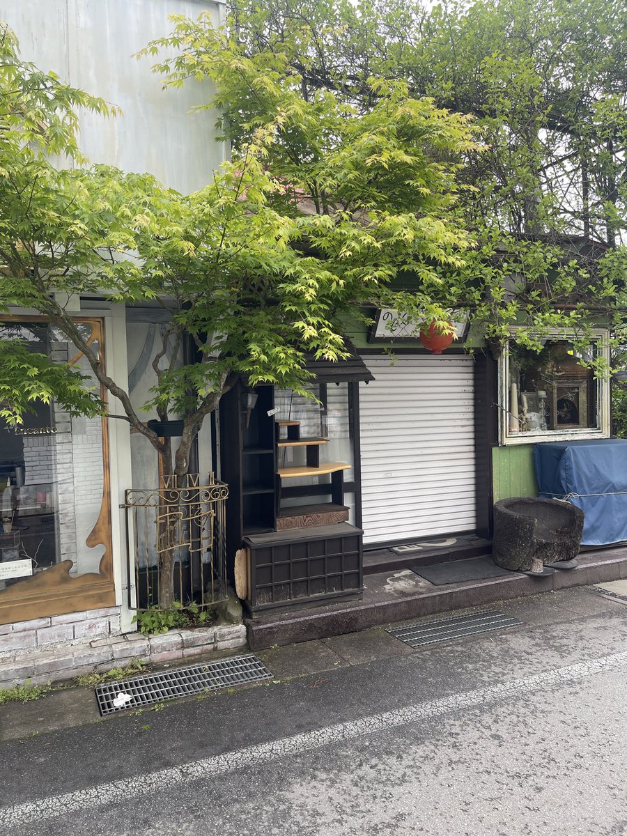 Aussie In Japan (David Webb) tweet media